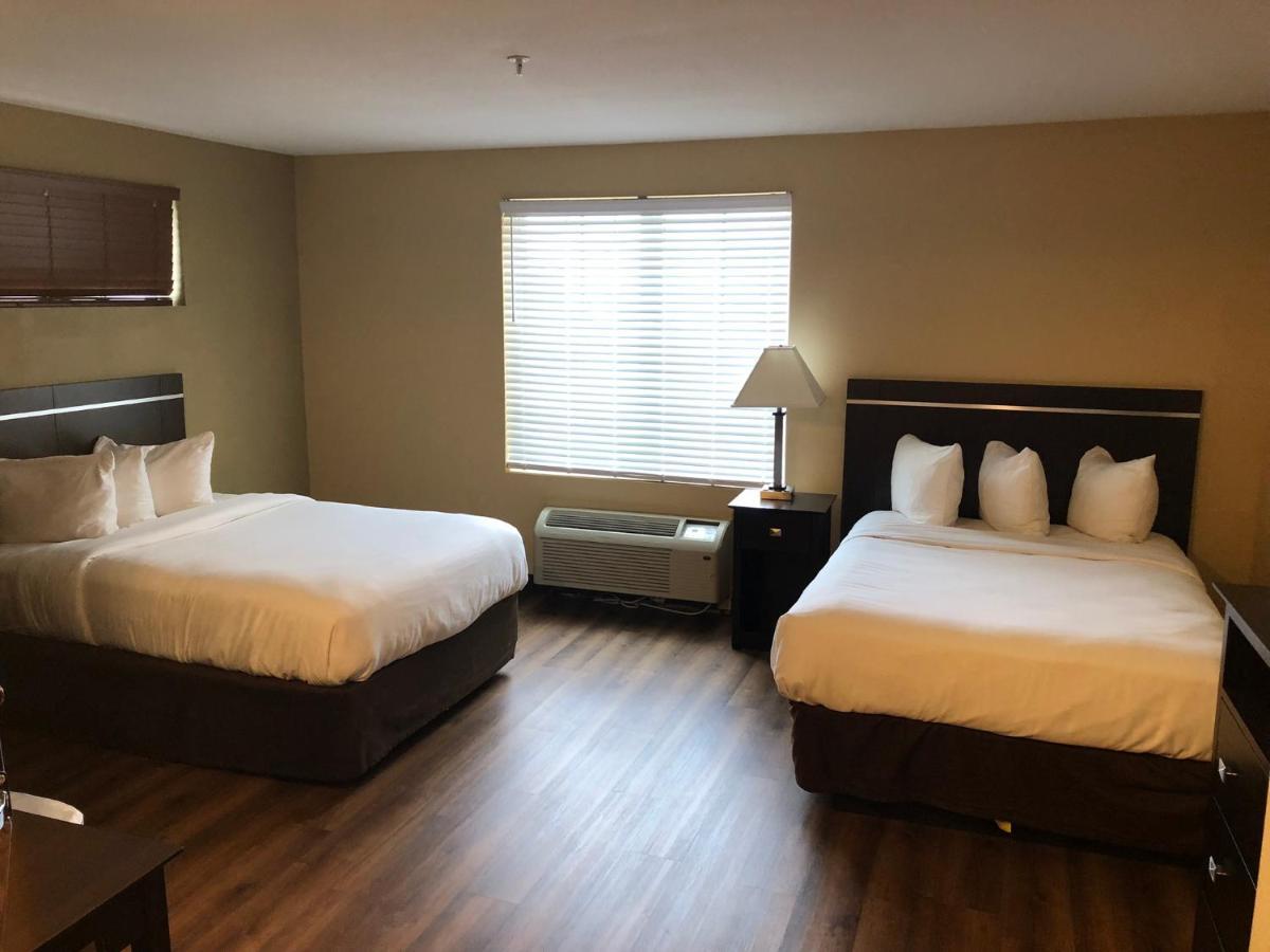 Mainstay Suites Jacksonville Near Camp Lejeune Ngoại thất bức ảnh